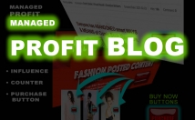 create & manage a weekly, monthly or Quarterly PROFIT $$$ BLOG. Weekly...